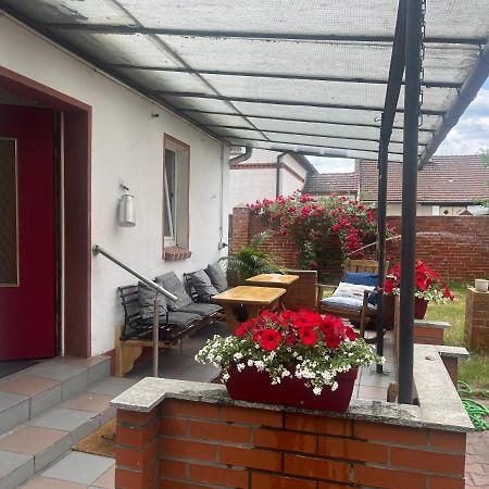 Kahnstuebchen Mit Neuem Innenhof Garten Lübben Extérieur photo