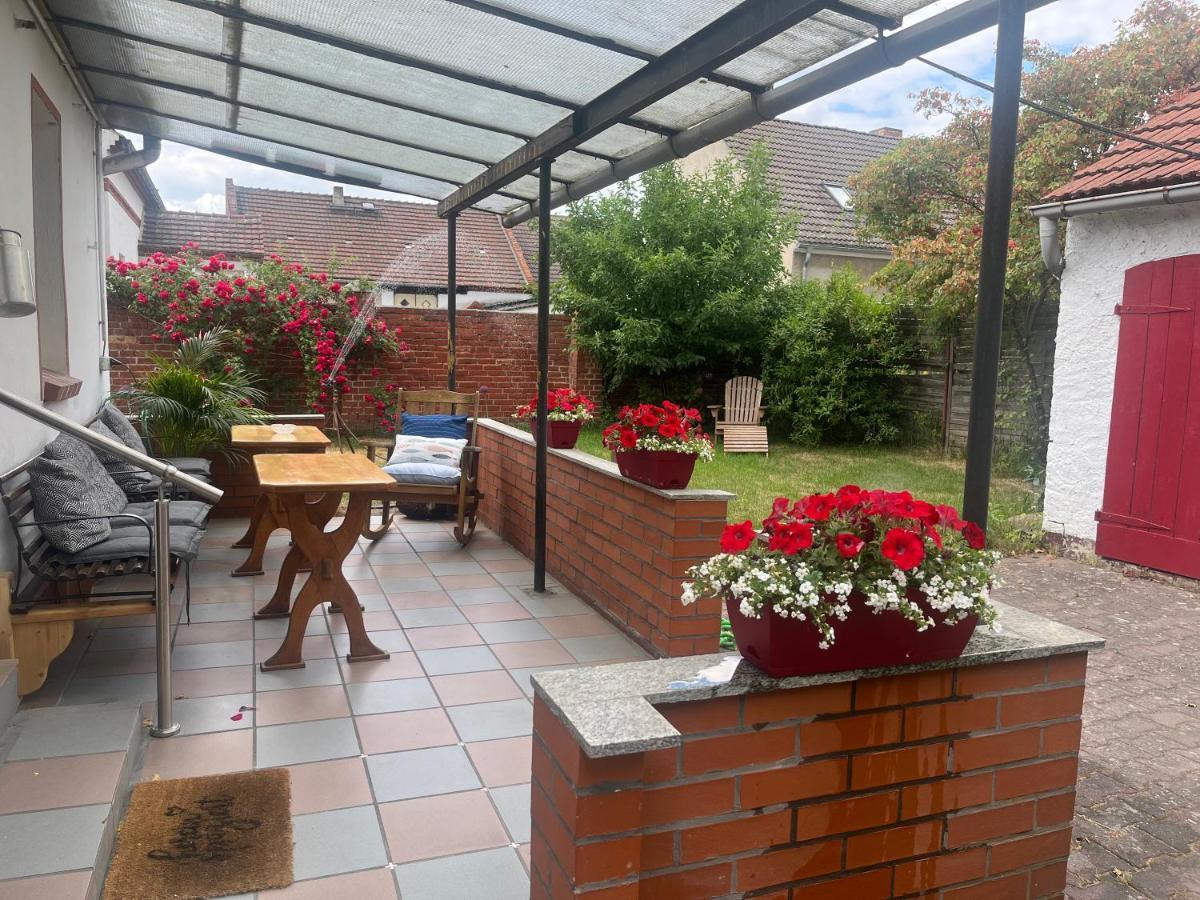 Kahnstuebchen Mit Neuem Innenhof Garten Lübben Extérieur photo